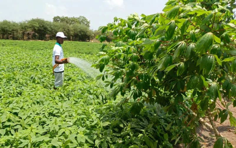 Le FIDA Au Benin Transformations Durables Des Communautes Rurales Grace A Lagriculture Et A La Resilience Climatique