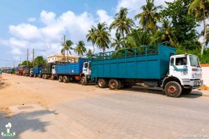 77 camions ont été mobilisés afin de garantir une distribution rapide