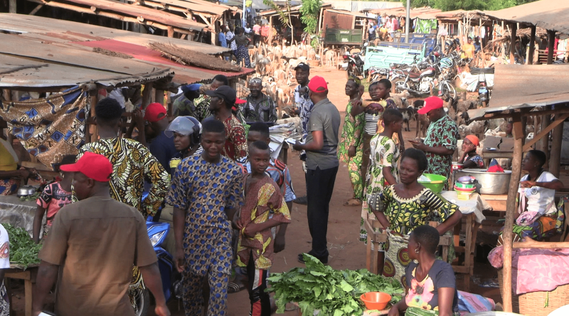 Les candidats LD de la 11e CE en campagne à Djakotomè, Azovè et Kissamey