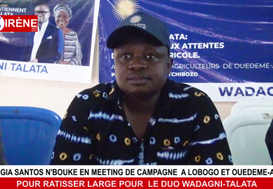 ‎Borgia Santos N'Bouke multiplie les meetings à Lobogo et Ouèdèmè-Adja : pour élargir la base et promouvoir le ticket Wadagni-Talata
