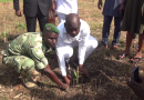 Lancement du reboisement à Lokossa : John Hounza inaugure la campagne communale sur le site d’Agnivedji