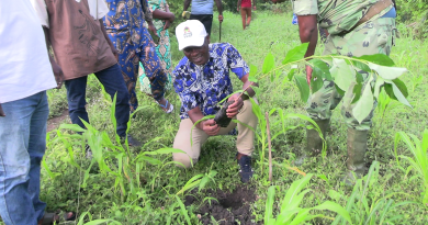 Journée nationale de l'arbre, la 42 édition à Athiémè : le maire François Cossy Assou et ses pairs plantent